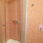 Dani 5 * Soline (Krk)